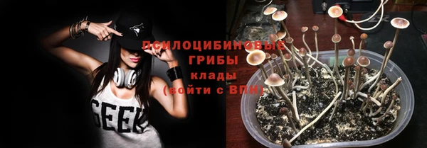 твердый Горняк