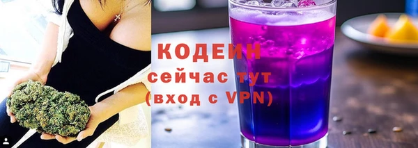 твердый Горняк