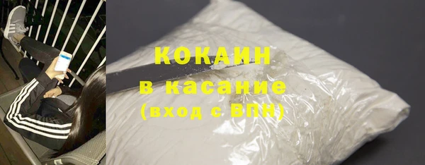 твердый Горняк