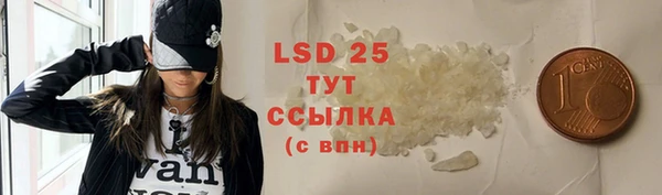 твердый Горняк