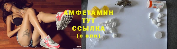 прущая мука Вяземский