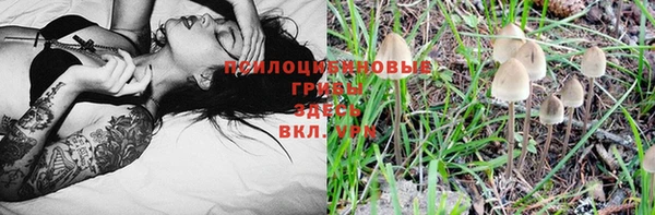 прущая мука Вяземский
