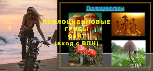 индика Вязники
