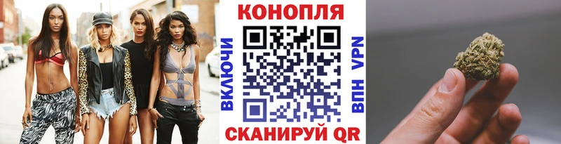 Каннабис OG Kush  Добрянка 
